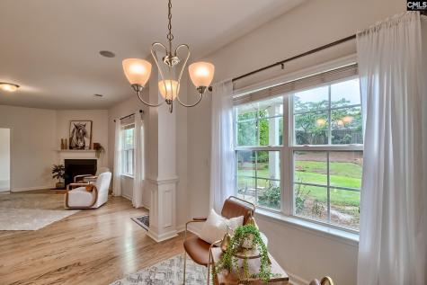 1127 Portrait Hill Drive Chapin SC 29036