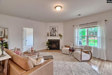 1127 Portrait Hill Drive Chapin SC 29036