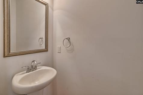 1127 Portrait Hill Drive Chapin SC 29036