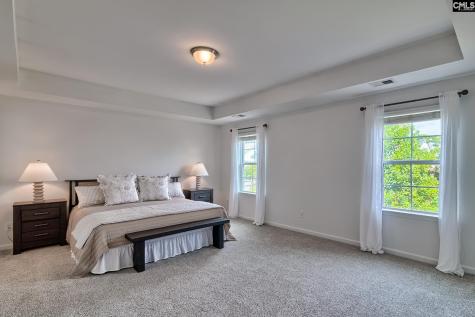 1127 Portrait Hill Drive Chapin SC 29036