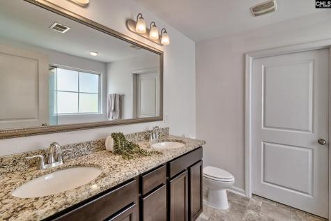1127 Portrait Hill Drive Chapin SC 29036