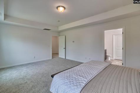 1127 Portrait Hill Drive Chapin SC 29036