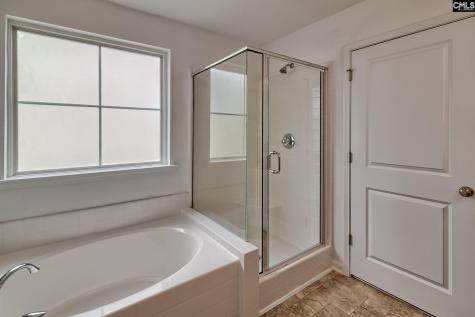1127 Portrait Hill Drive Chapin SC 29036