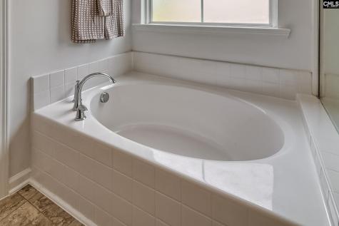 1127 Portrait Hill Drive Chapin SC 29036