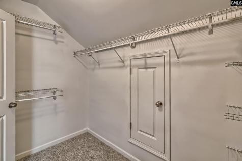 1127 Portrait Hill Drive Chapin SC 29036