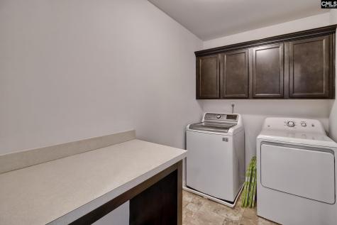1127 Portrait Hill Drive Chapin SC 29036