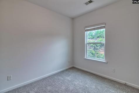 1127 Portrait Hill Drive Chapin SC 29036