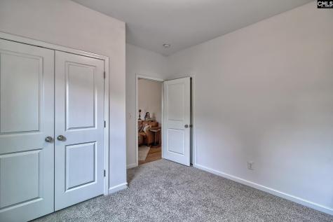 1127 Portrait Hill Drive Chapin SC 29036