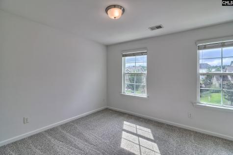 1127 Portrait Hill Drive Chapin SC 29036