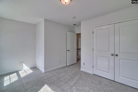 1127 Portrait Hill Drive Chapin SC 29036