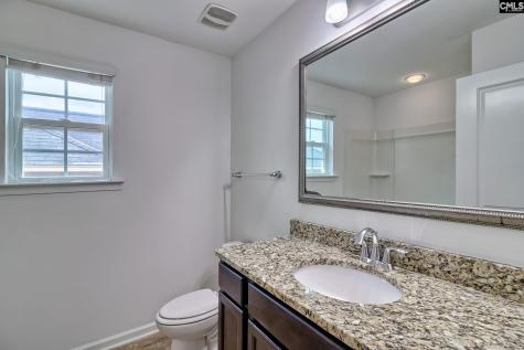 1127 Portrait Hill Drive Chapin SC 29036