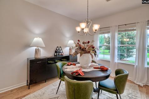 1127 Portrait Hill Drive Chapin SC 29036