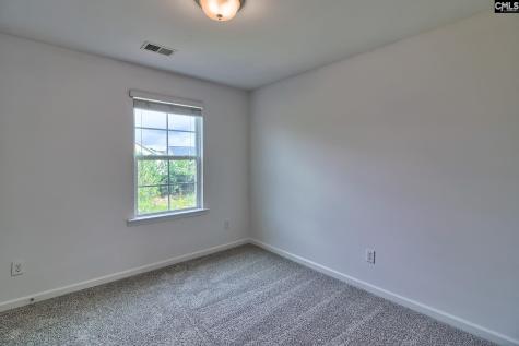 1127 Portrait Hill Drive Chapin SC 29036