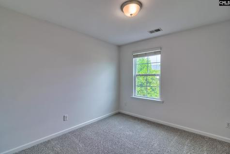 1127 Portrait Hill Drive Chapin SC 29036
