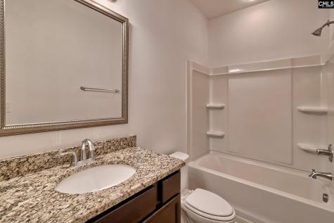 1127 Portrait Hill Drive Chapin SC 29036