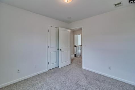 1127 Portrait Hill Drive Chapin SC 29036