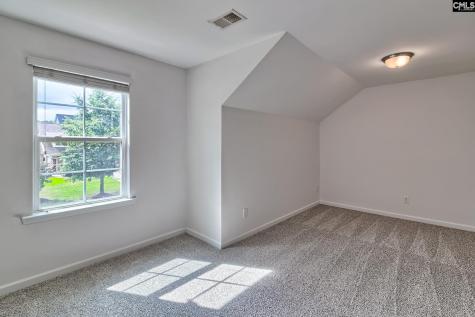 1127 Portrait Hill Drive Chapin SC 29036