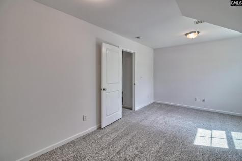 1127 Portrait Hill Drive Chapin SC 29036
