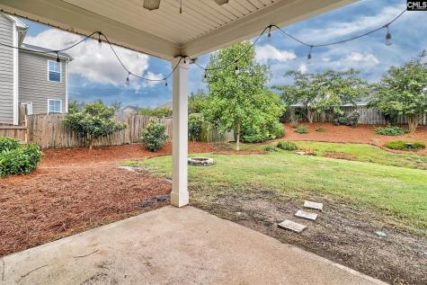 1127 Portrait Hill Drive Chapin SC 29036