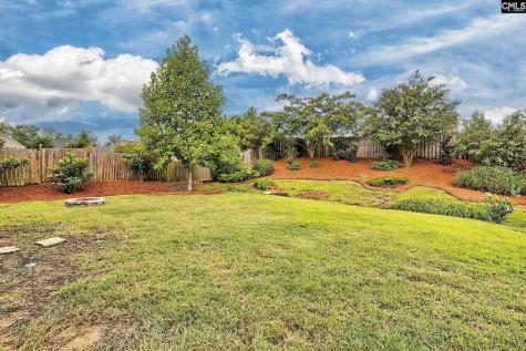 1127 Portrait Hill Drive Chapin SC 29036