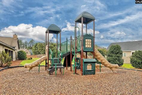 1127 Portrait Hill Drive Chapin SC 29036