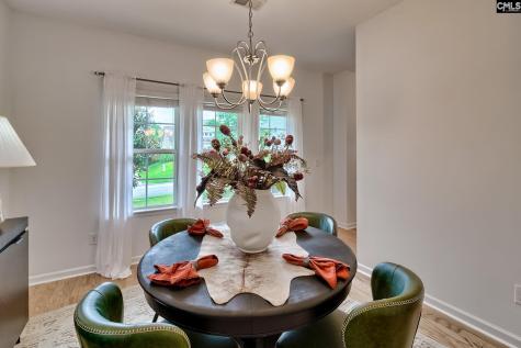 1127 Portrait Hill Drive Chapin SC 29036