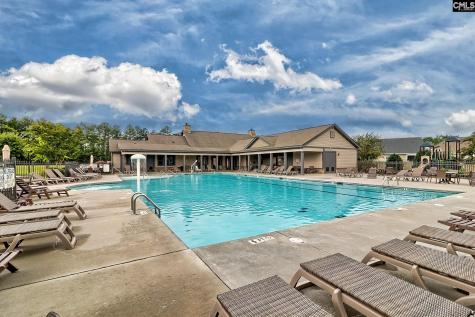 1127 Portrait Hill Drive Chapin SC 29036