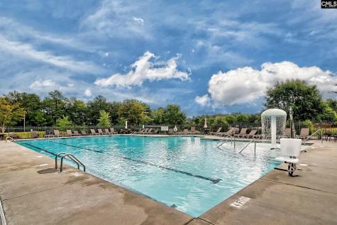 1127 Portrait Hill Drive Chapin SC 29036