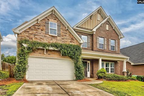 1127 Portrait Hill Drive Chapin SC 29036