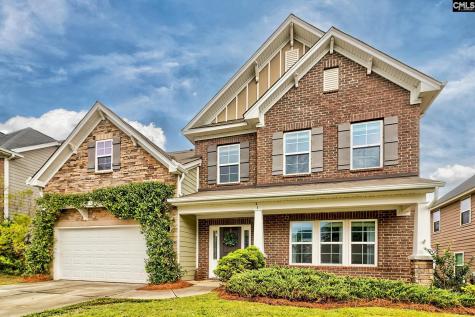 1127 Portrait Hill Drive Chapin SC 29036