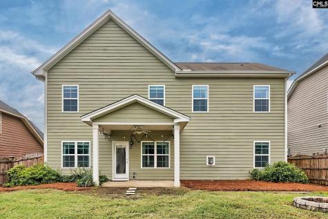 1127 Portrait Hill Drive Chapin SC 29036