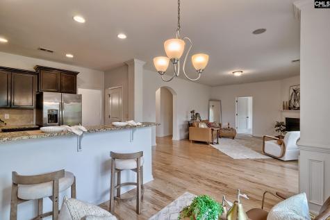 1127 Portrait Hill Drive Chapin SC 29036