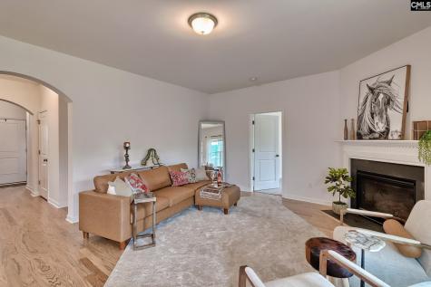 1127 Portrait Hill Drive Chapin SC 29036