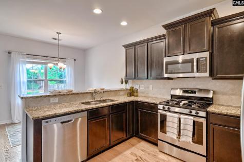 1127 Portrait Hill Drive Chapin SC 29036