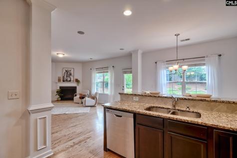 1127 Portrait Hill Drive Chapin SC 29036