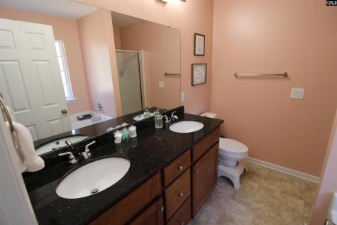 539 Crassula Drive Lexington SC 29073