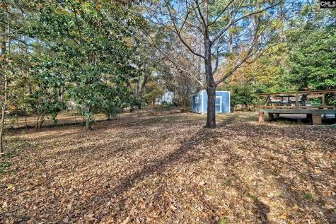 318 Maid Stone Road Irmo SC 29063