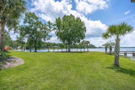 165 Saint Thomas Church Road Chapin SC 29036