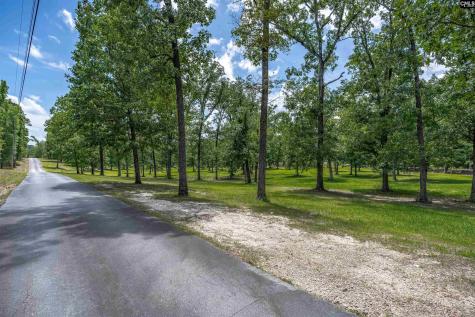 165 Saint Thomas Church Road Chapin SC 29036
