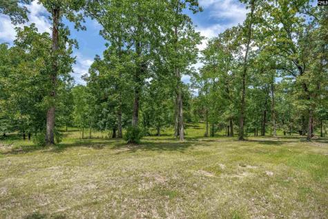 165 Saint Thomas Church Road Chapin SC 29036