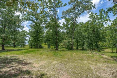 165 Saint Thomas Church Road Chapin SC 29036