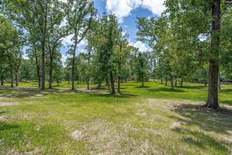 165 Saint Thomas Church Road Chapin SC 29036