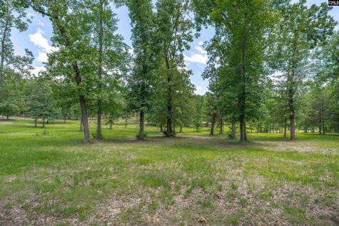 165 Saint Thomas Church Road Chapin SC 29036