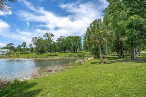 165 Saint Thomas Church Road Chapin SC 29036