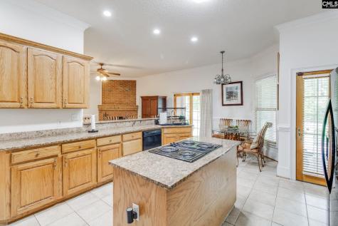 217 Prestley Drive Columbia SC 29203