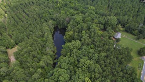 5540 State Hwy 215 North Blair SC 29015