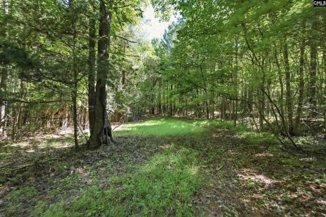 1579 Rockton Thruway Road Winnsboro SC 29180