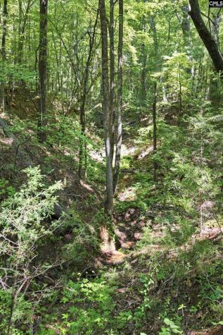 1579 Rockton Thruway Road Winnsboro SC 29180
