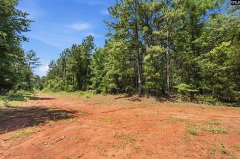 1579 Rockton Thruway Road Winnsboro SC 29180