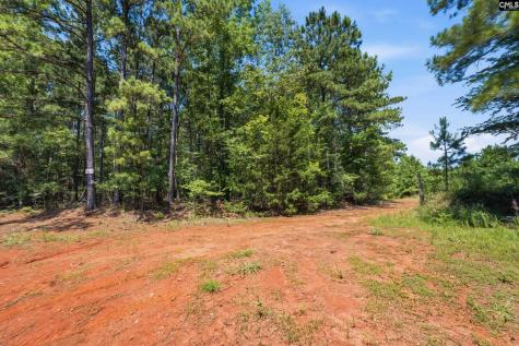 1579 Rockton Thruway Road Winnsboro SC 29180